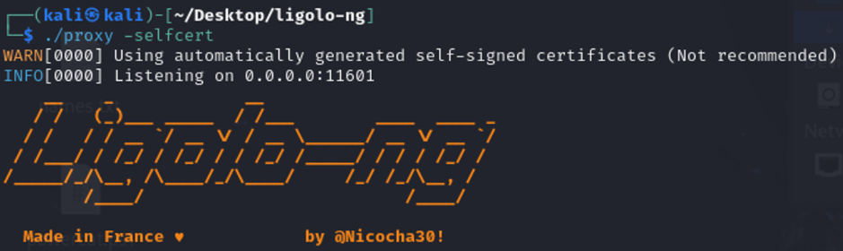 Start Ligolo Proxy