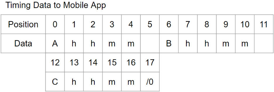 Outgoing Data Format